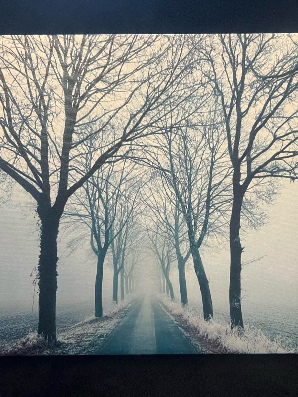 Framed Winter Tree Lane Art Print - Blue Gray